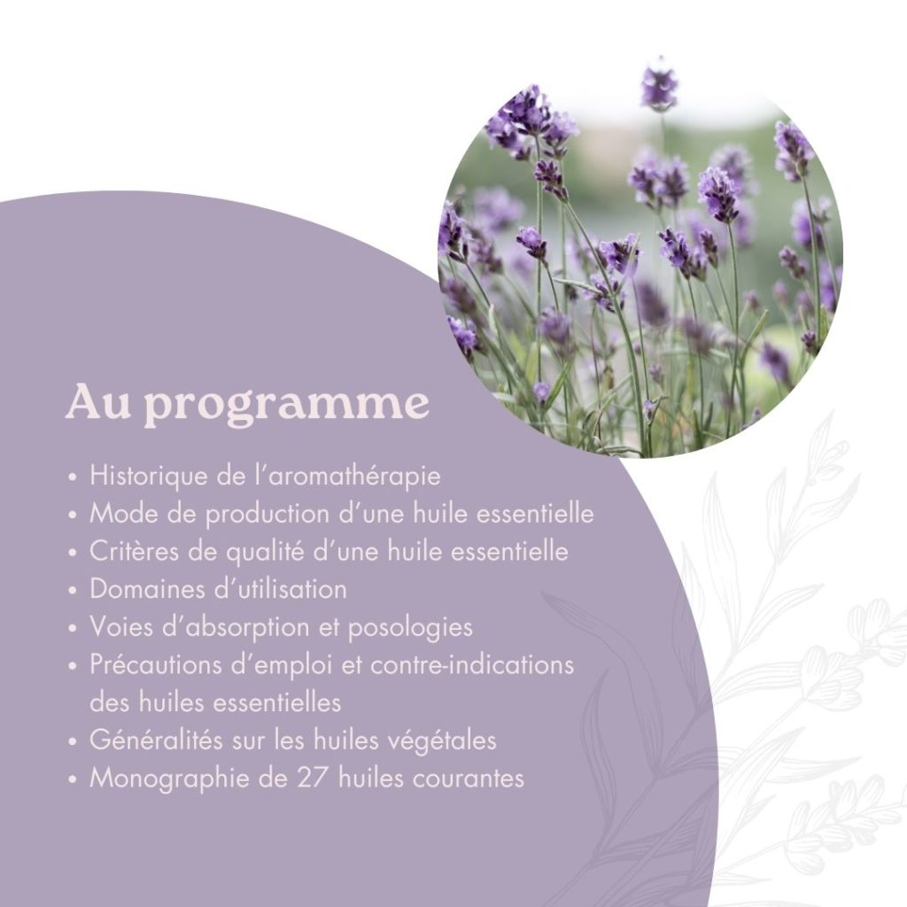 Affiche programme formation aromathérapie et lavande.